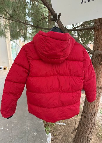 Koyu Kırmızı Fermuarlı Erkek Mont Zara orijinal 8 yaş - Görsel 14
