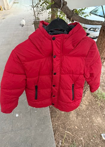 Koyu Kırmızı Fermuarlı Erkek Mont Zara orijinal 8 yaş - Görsel 8