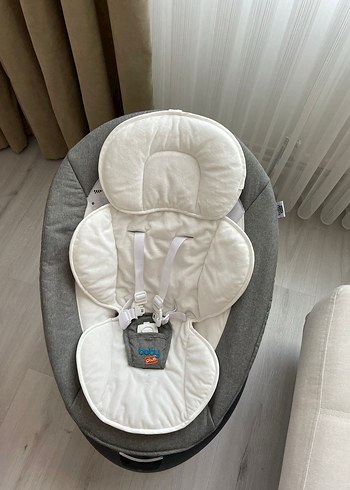 Diğer Elektrikli ana kucağı