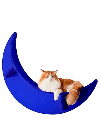 Kedi yatağı aksesuar dekor düzen