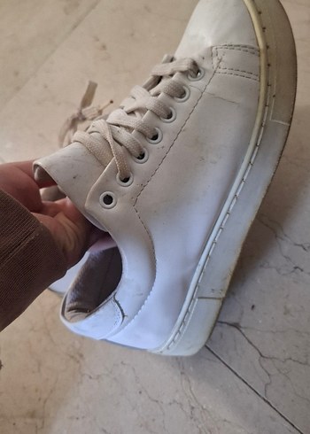 Converse 37