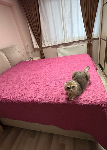 #yatak #örtüsü #çift #taraflı #kullanım #mor #lila #pembe - Görsel 8