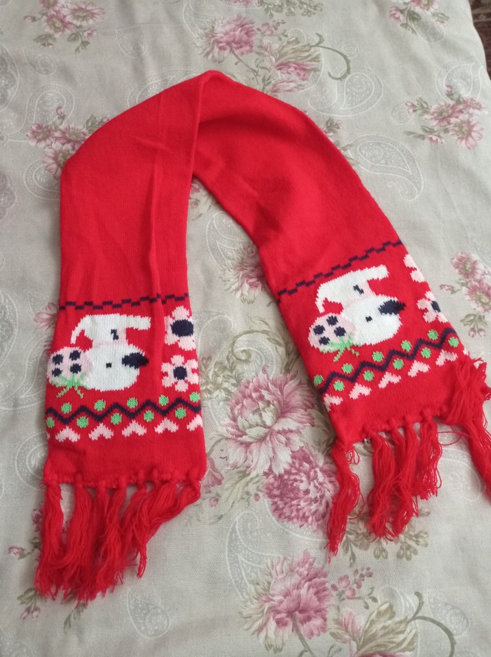 Nakışlı Kırmızı Çocuk Bere ve Atkı Takımı - Görsel 3