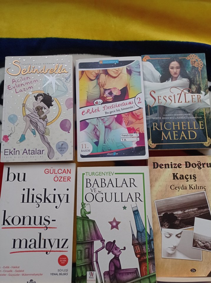 Çeşitli Romanlar Seti - Görsel 3