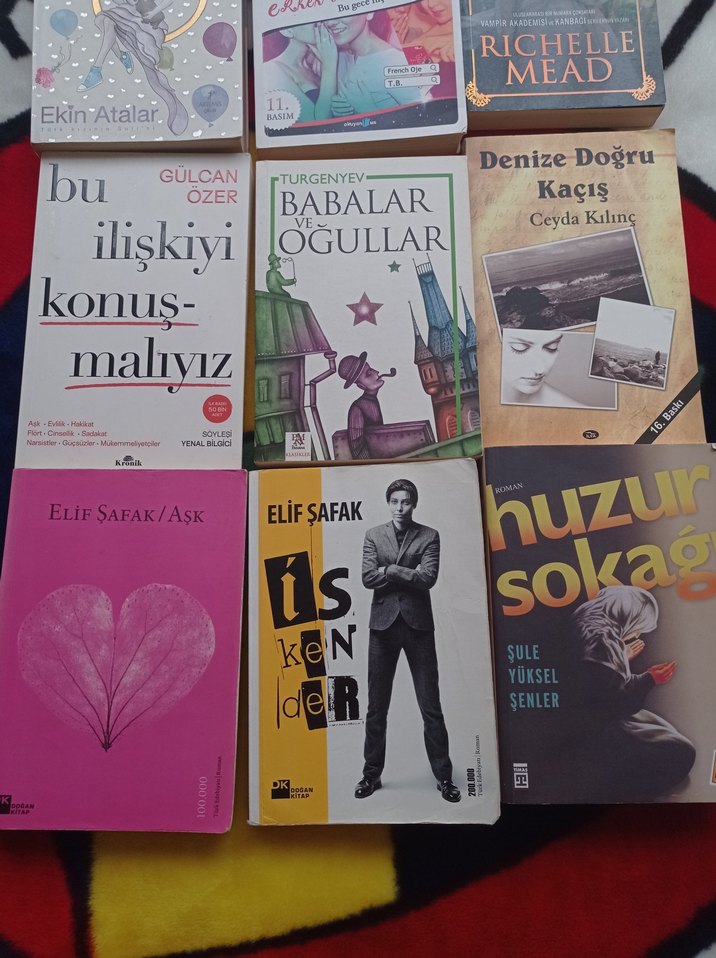 Çeşitli Romanlar Seti - Görsel 2