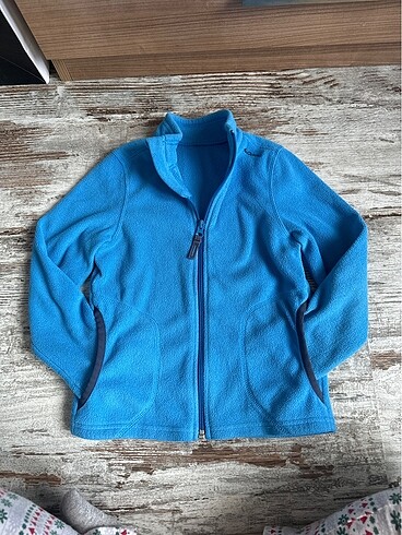 Decathlon polar