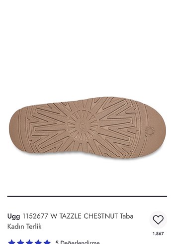 Ugg Bej Süet Platform Topuklu Kadın Terlik