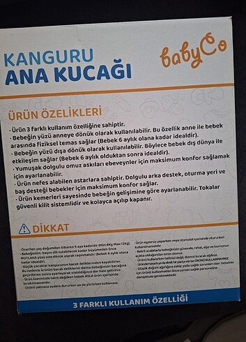 Ana Kucağı 