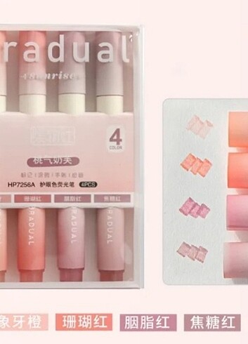 Gradual Kalem Seti 