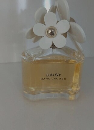  Beden Daisy