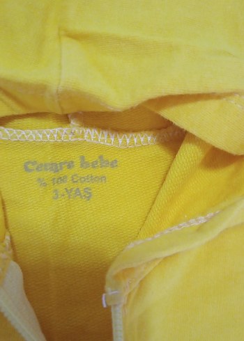 Sarı Kapüşonlu Fermuarlı Erkek Çocuk Yelek - Görsel 3