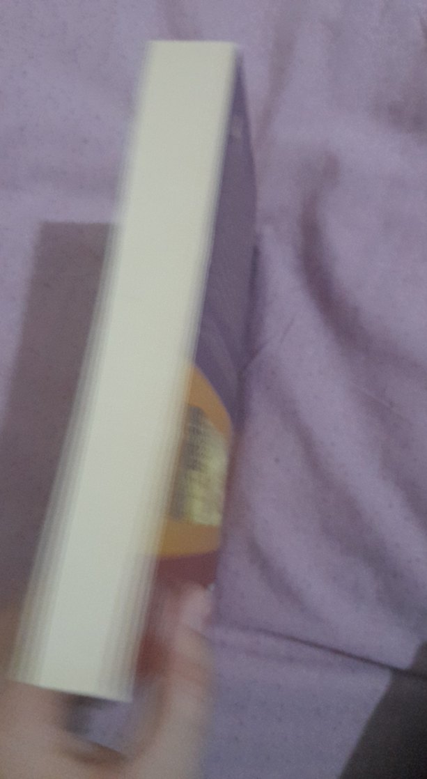 Arkeoloji Anahtar Kavramlar Kitabı - Görsel 2