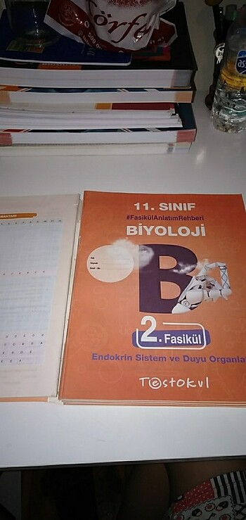 Beden 11. Sınıf Testokul Biyoloji Fasikül Anlatım Rehberi