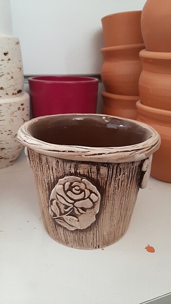 Diğer Saksı