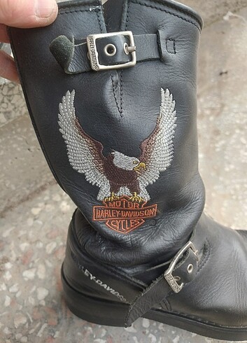 Harley davidson