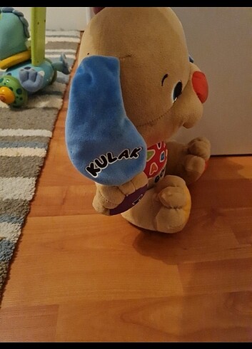  Beden Eğitici köpek 