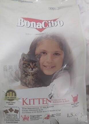 KEDİ MAMASI