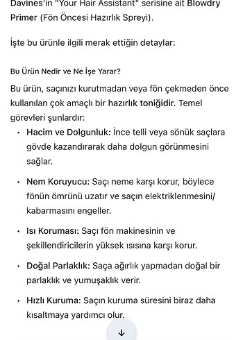 Davines Fön Spreyi & Isı Koruyucu & Sabitleyici - Görsel 3