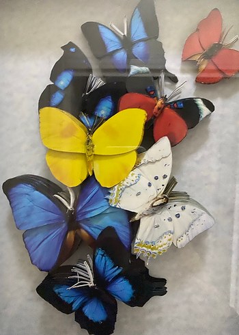 Duvar Tablosu - Görsel 5