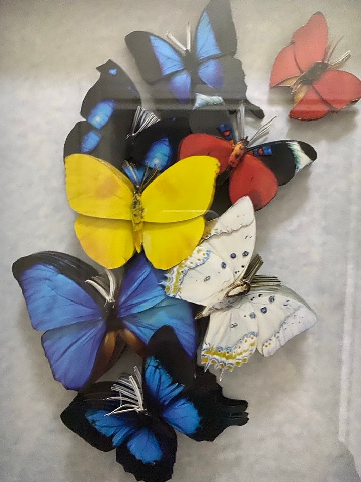 Duvar Tablosu - Görsel 5