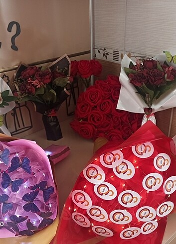 Solmayangül 