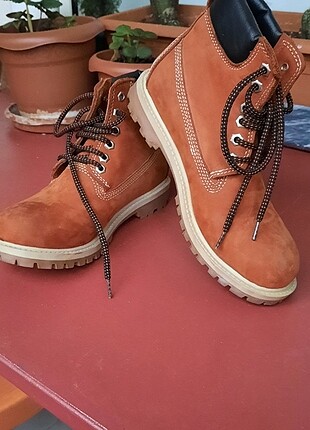 Timberland Bot