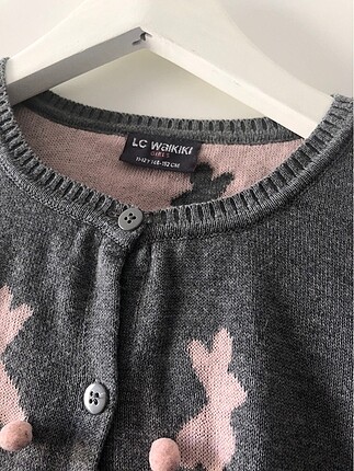LC Waikiki LC WAİKİKİ HIRKA