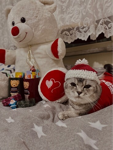 Beden Kedi köpek kıyafet