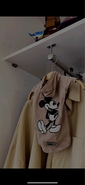 Mickey mouse kedi kıyafeti