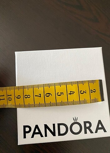 Pandora Pandora bileklik kutusu