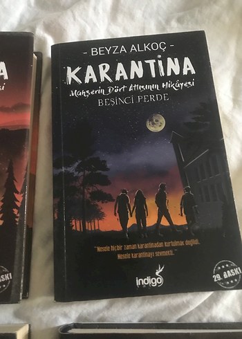Karantina serisi