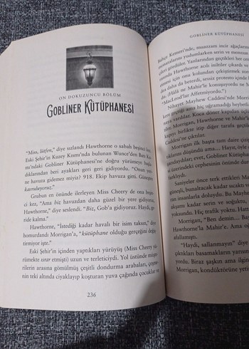 Beden Ruhroparan - Morrigan Crow'un Peşinde