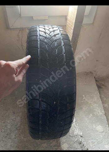 Diğer Beden Tekerlek