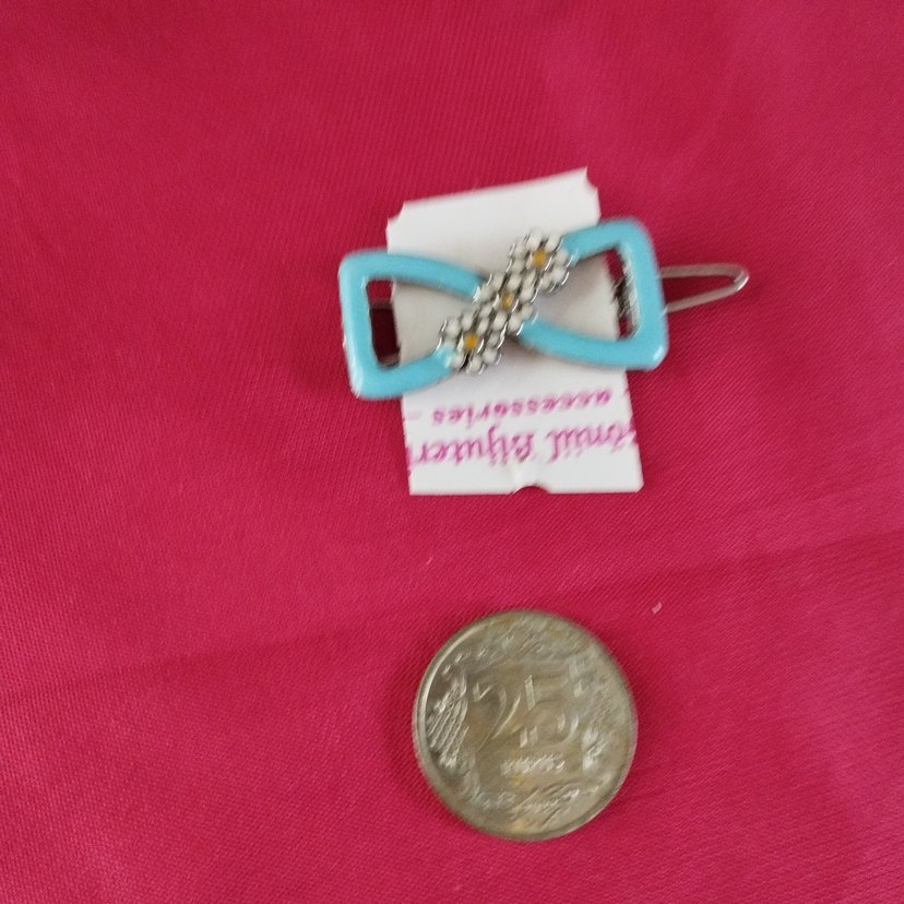 Renkli Turkuaz Tokalı Çocuk Toka - Görsel 3