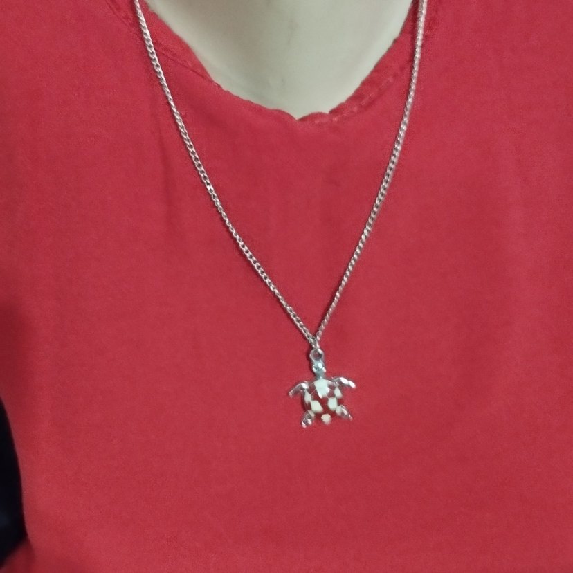 Renkli iMini Deniz Kaplumbağası Kolye - Görsel 2