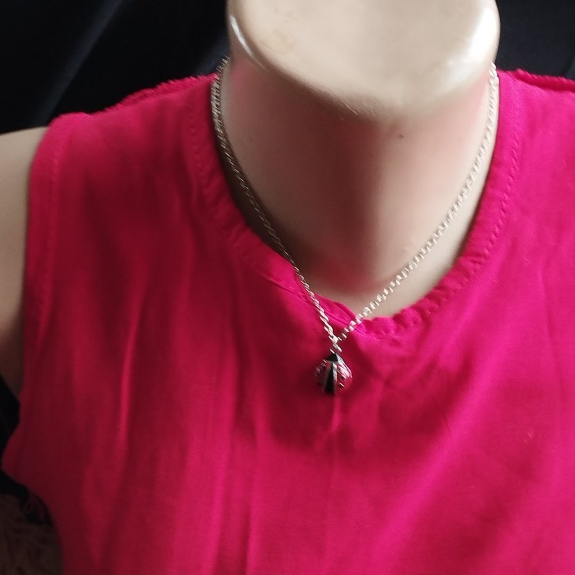 Zincir Detaylı Kırmızı Uğur Böceği Kolye - Görsel 3