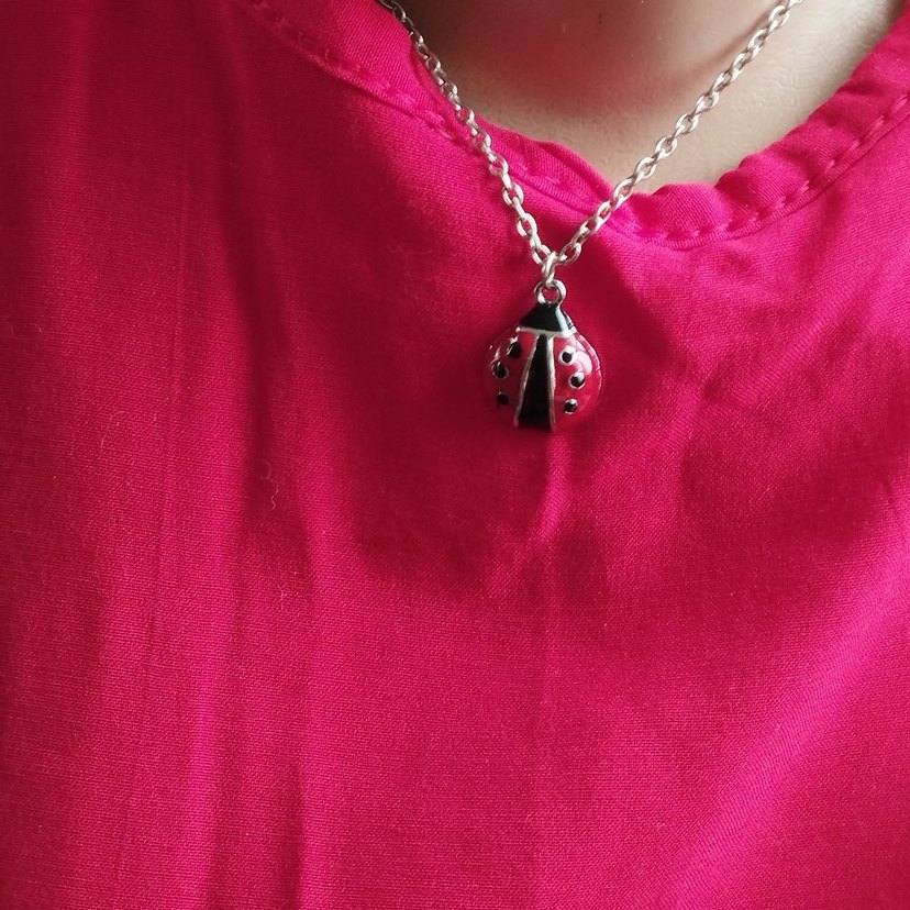 Zincir Detaylı Kırmızı Uğur Böceği Kolye - Görsel 2