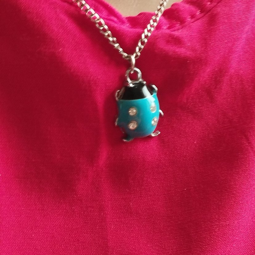 Turkuaz  ugur böcegi çocuk Zincir Kolye - Görsel 3
