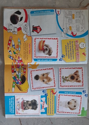 the dog panini çıkartma albumu