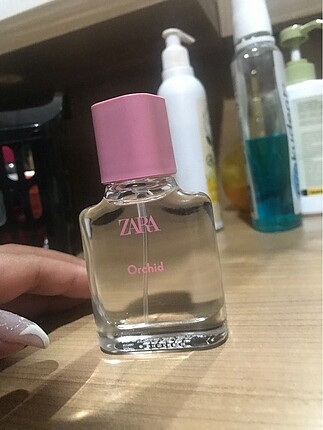 Zara orchid