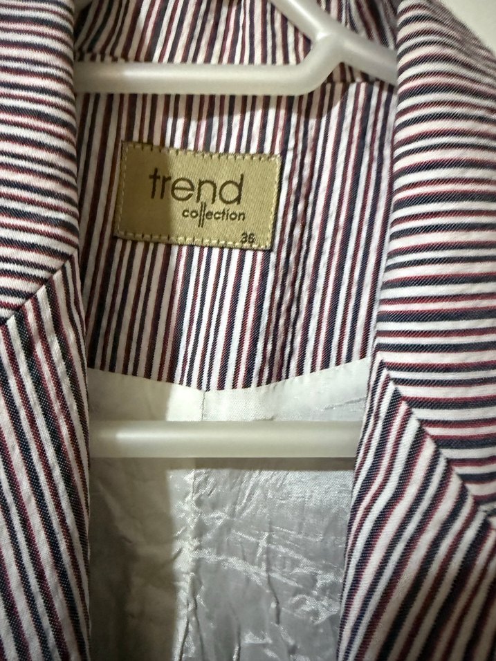 Kırmızı Lacivert Çizgili Kadın Blazer Ceket - Görsel 3