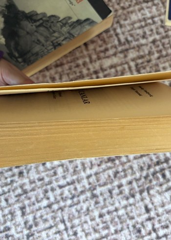 Ölü Canlar - Gogol Roman - Görsel 2