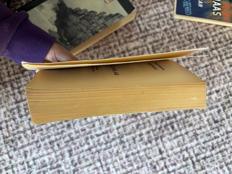 Ölü Canlar - Gogol Roman - Görsel 2