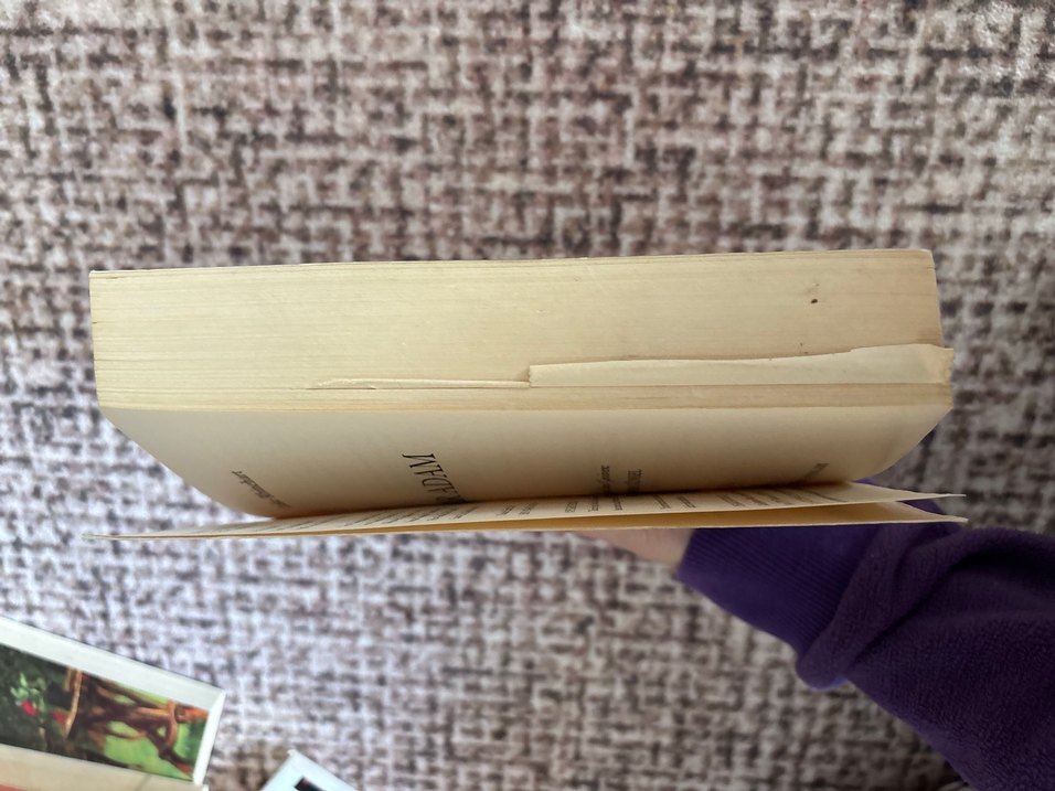 Zar Adam - Luke Rhinehart - Görsel 2