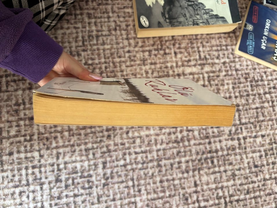 Ölü Ruhlar - Roman - Görsel 2