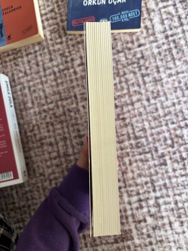 Emile Zola - Bir Aşk Sayfası - Görsel 2