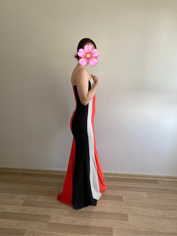 Çizgili Çok Renkli Uzun Abiye Elbise - Görsel 4