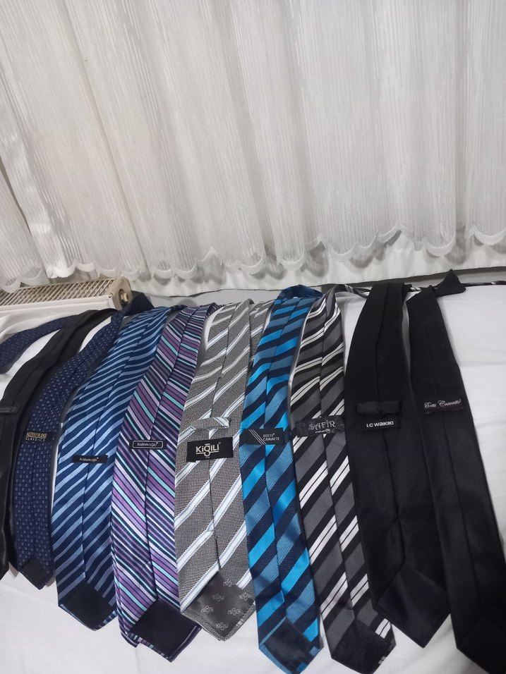 Erkek Çok Renkli İş Kravatları - Görsel 4