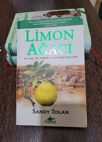 Limon ağacı