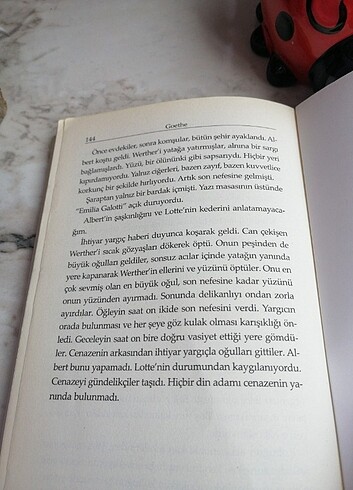 Beden Renk JOHANN GOETHE
